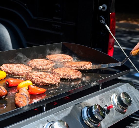 Best 6 Burner Gas Grills The Cc Rown and Goose